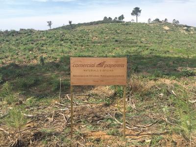 El Bosc de les Oficines, projecte fet realitat