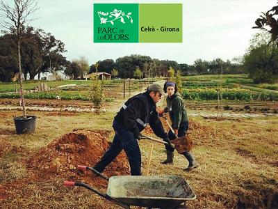 Acabant de plantar els arbres al Parc de les Olors