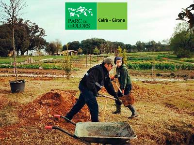 Plantació al Parc de les Olors de Celrà