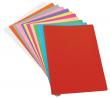 Pack 50 subcarpetes de cartolina, colors suaus 180 g.
Mida Foli: 34,5 x 23,5 cm...