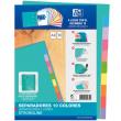 Joc de separadors de cartolina 200 g. 
Mida A4. Joc de 10 pestanyes.
Colors pa...